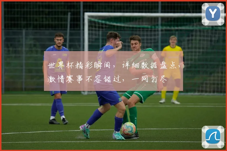世界杯精彩瞬间，详细数据盘点，激情赛事不容错过，一网打尽