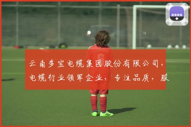 云南多宝电缆集团股份有限公司，电缆行业领军企业，专注品质，服务卓越，技术创新，引领未来。