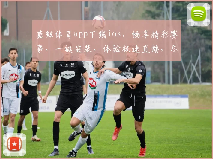 蓝鲸体育app下载ios，畅享精彩赛事，一键安装，体验极速直播，尽在掌握