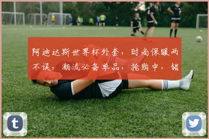阿迪达斯世界杯外套，时尚保暖两不误，潮流必备单品，抢购中，错过等一年