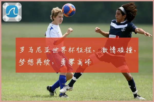 罗马尼亚世界杯征程，激情碰撞，梦想再续，勇攀高峰