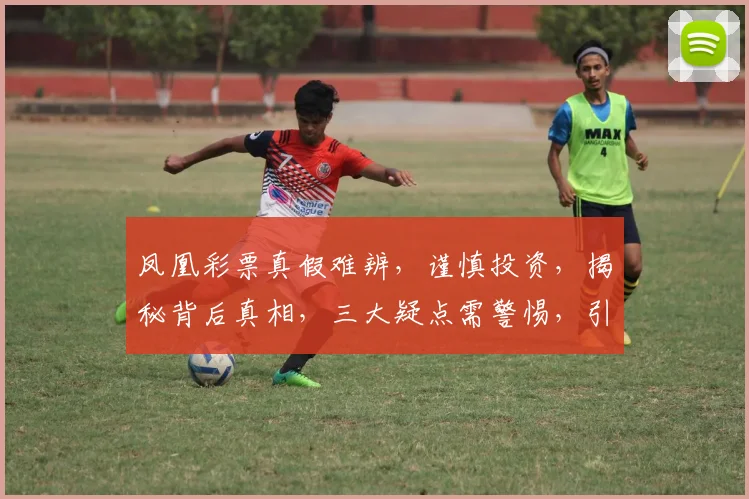 凤凰彩票真假难辨，谨慎投资，揭秘背后真相，三大疑点需警惕，引你深思。