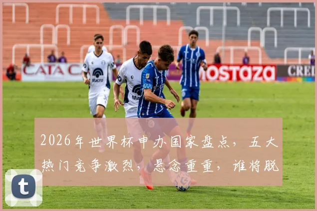 2026年世界杯申办国家盘点，五大热门竞争激烈，悬念重重，谁将脱颖而出